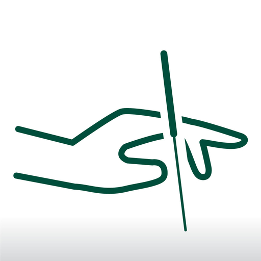 AI東洋医学操作マニュアル